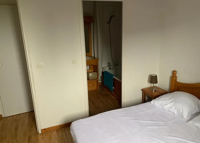 Appartement Dans Residence Bois De La Reine, Besse Et Saint Anastaise