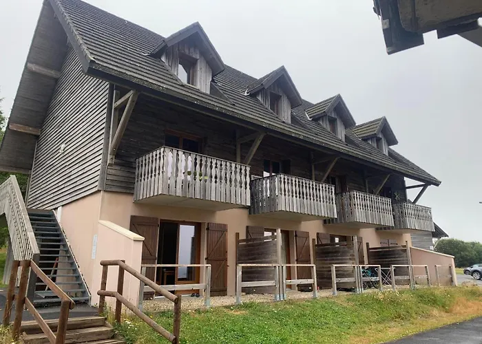 Appartement Dans Residence Bois De La Reine, Besse Et Saint Anastaise